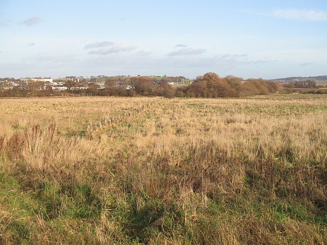 uncultivated_land2c_gogar_-_geograph-org-uk_-_1059298